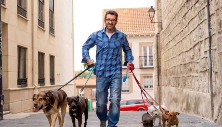 1723745005 404 ۲۷ ایده شغل دوم دو نظر پول‌ساز برای در