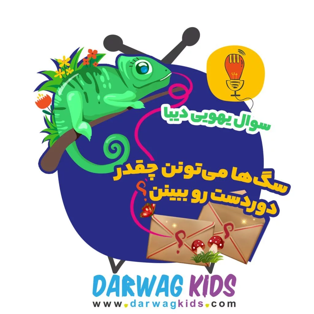 گفتگو با هم‌بنیان‌گذار مجموعه داروگ به رنگ صبح.webp