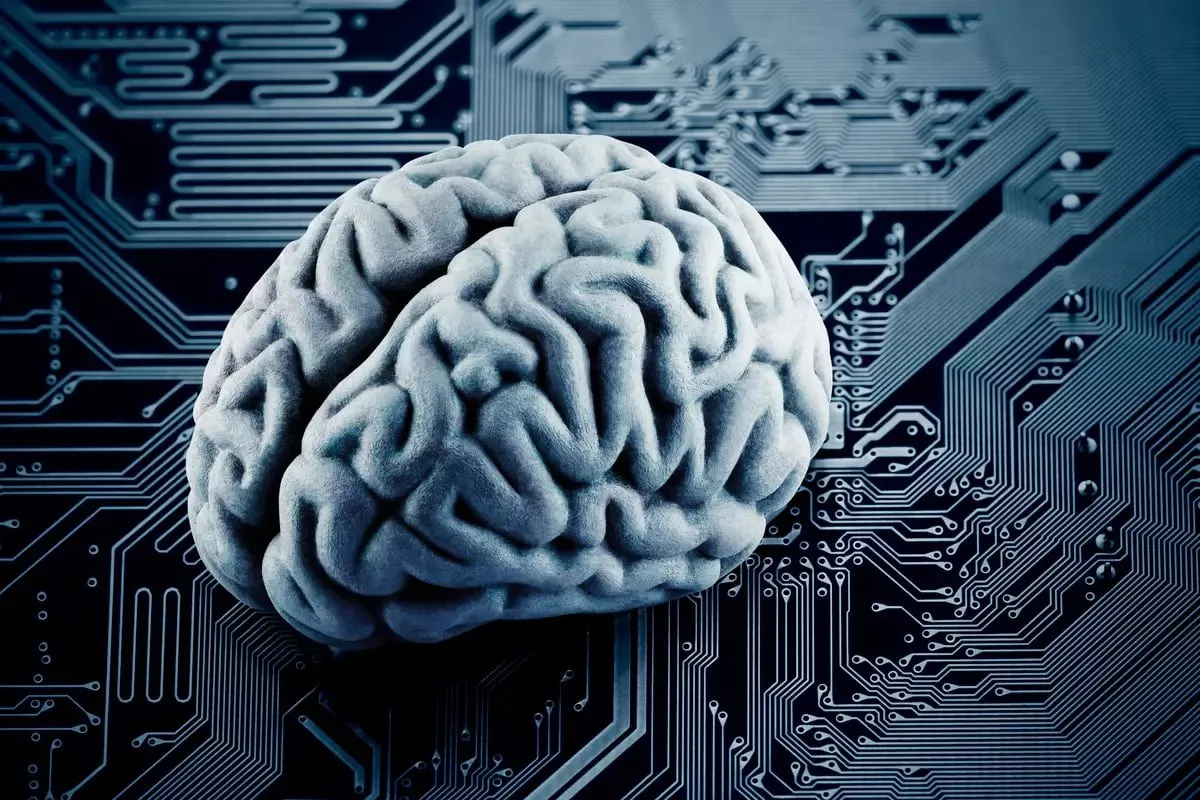 رابط مغز-کامپیوتر به بازمانده سکته مغزی بعد از ۱۸ سال امکان سخن بگویید کردن داد_به رنگ صبح 7 رابط مغز-کامپیوتر به بازمانده سکته مغزی پس از ۱۸ سال امکان صحبت کردن داد