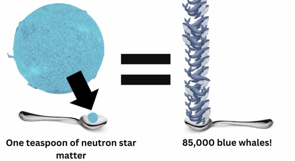 یک قاشق چایخوری از ماده ستاره نوترونی وزنی معادل حدود ۸۵ هزار نهنگ آبی دارد.