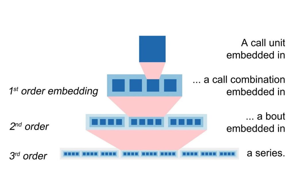 اورانگوتان‌ها