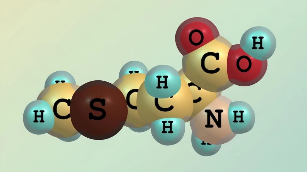 اسید آمینه و سرطان