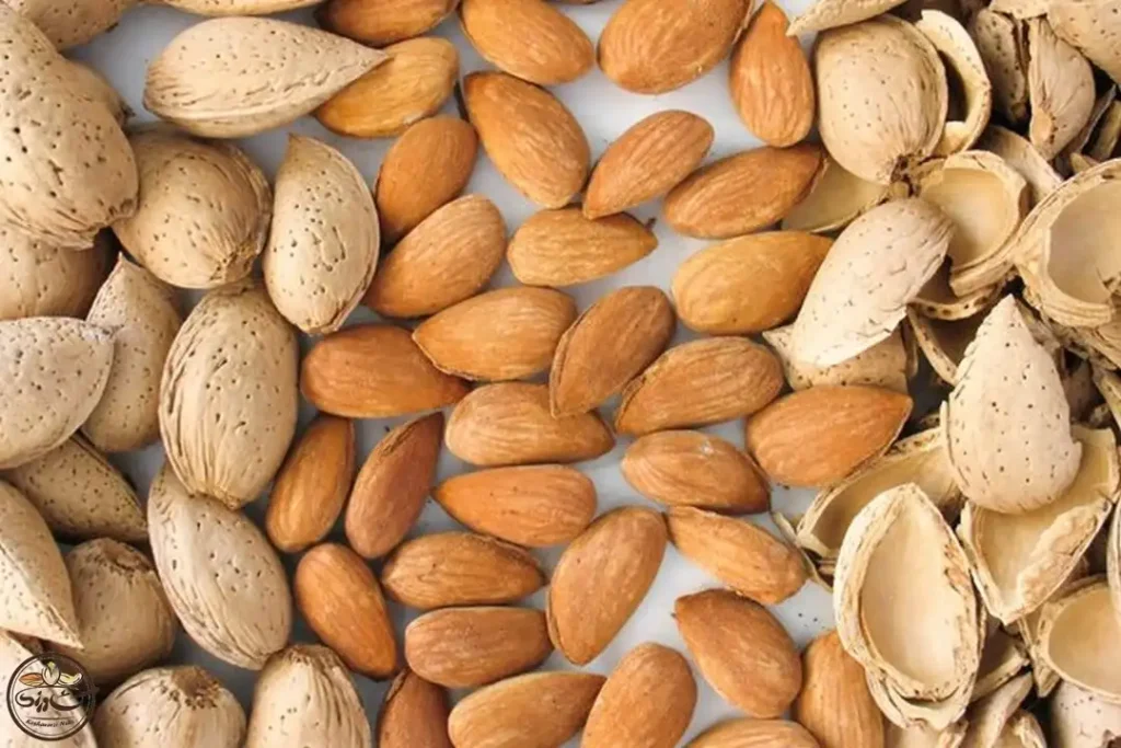 افت اسید معده با ۱۳ روش خانگی برای افت.webp