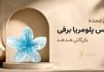 کلیپس پلومریا برفی وارداتی