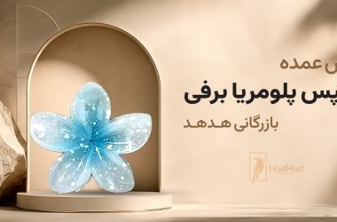 کلیپس پلومریا برفی وارداتی