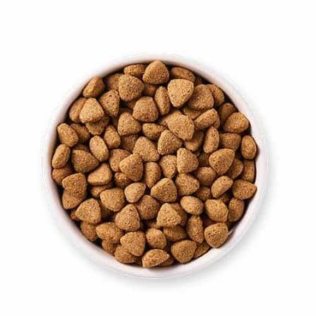 انواع غذای سگ
